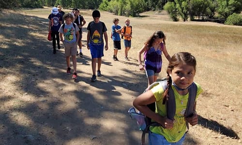 Kid hiking on a trail
