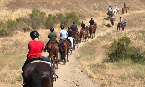 Kids horseback riding on a trail.