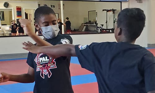 Two kids sparring.