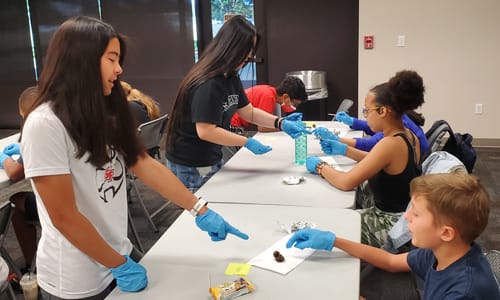 A group of kids working on a project.